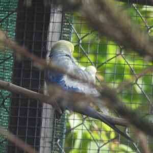 dscn4226.jpg