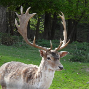 dscn4533.jpg