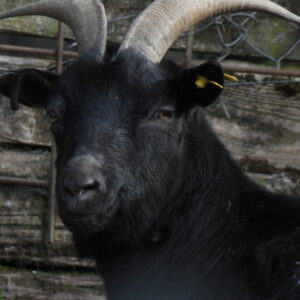 dscn4606.jpg