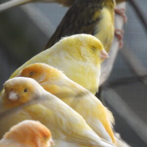dscn4711.jpg